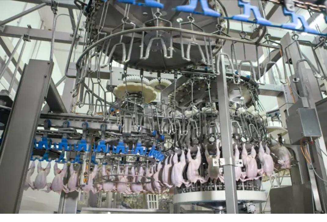 HSS & Food Safety